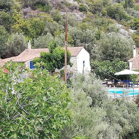 Дом отдыха Small Hause With Swimming Pool *