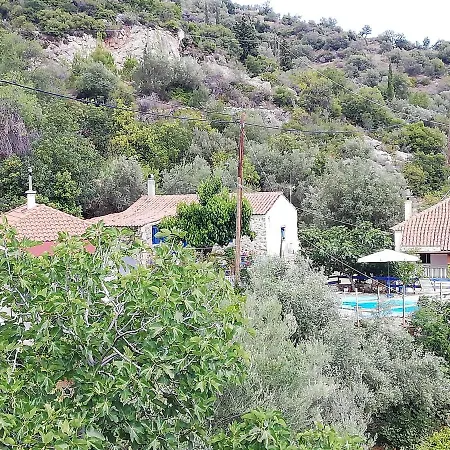 Small Hause With Swimming Pool *