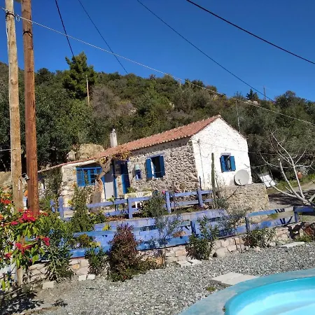 Small Hause With Swimming Pool