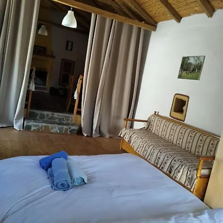 Small Hause With Swimming Pool