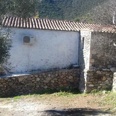 Small Hause With Swimming Pool *