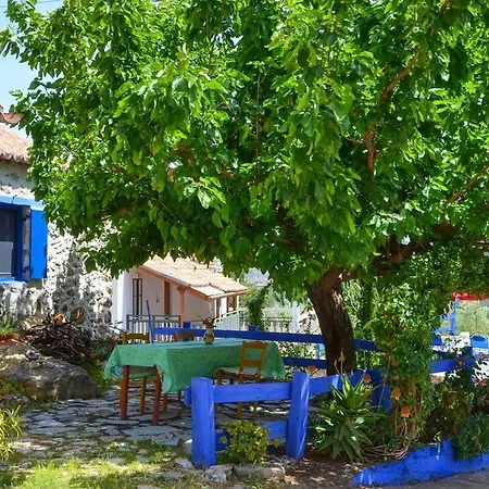Small Hause With Swimming Pool