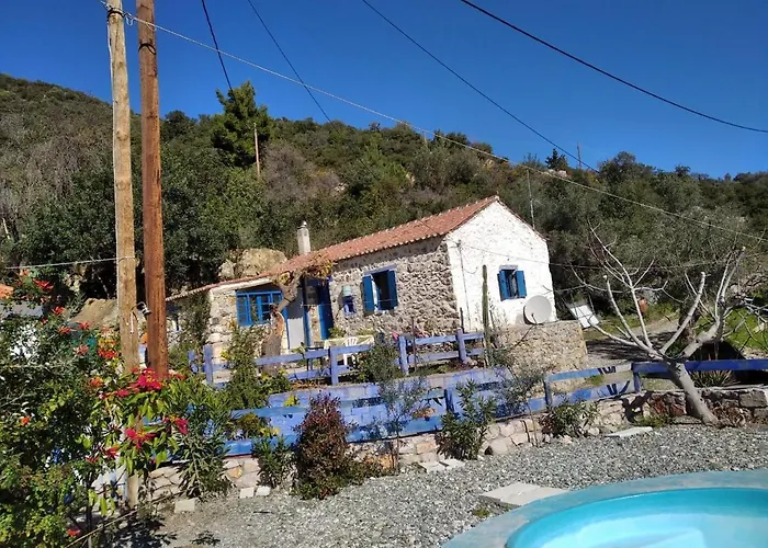 Small Hause With Swimming Pool