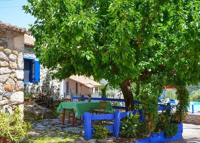 Small Hause With Swimming Pool