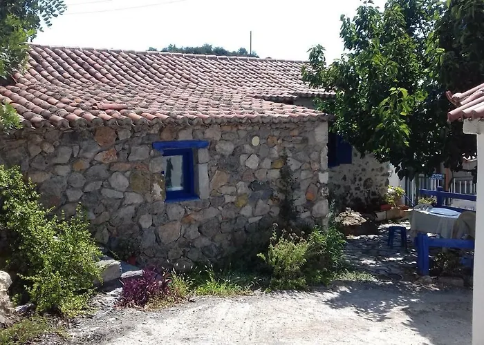 Small Hause With Swimming Pool *